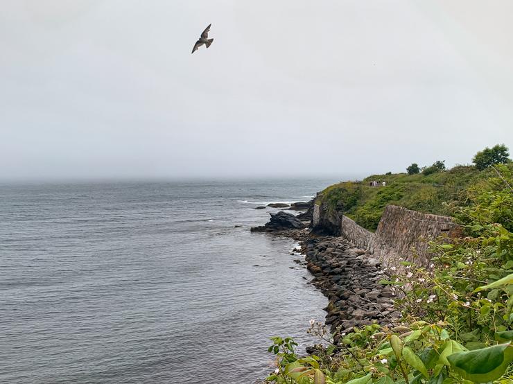 Newport Cliff Walk